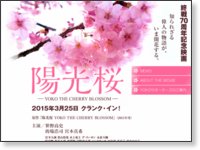 映画『陽光桜-YOKO THE CHERRY BLOSSOM-』