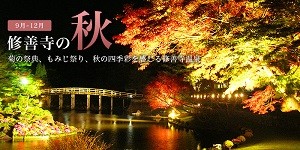 秋の修善寺