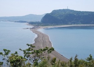 知林ヶ島