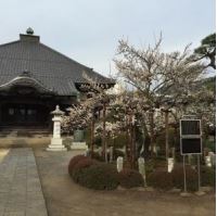 青梅金剛寺