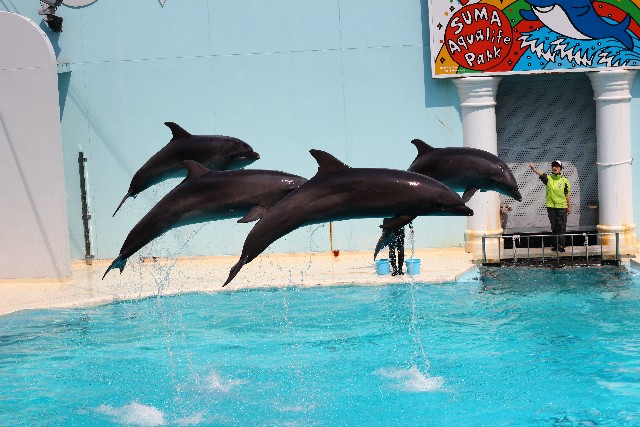 須磨海浜水族園